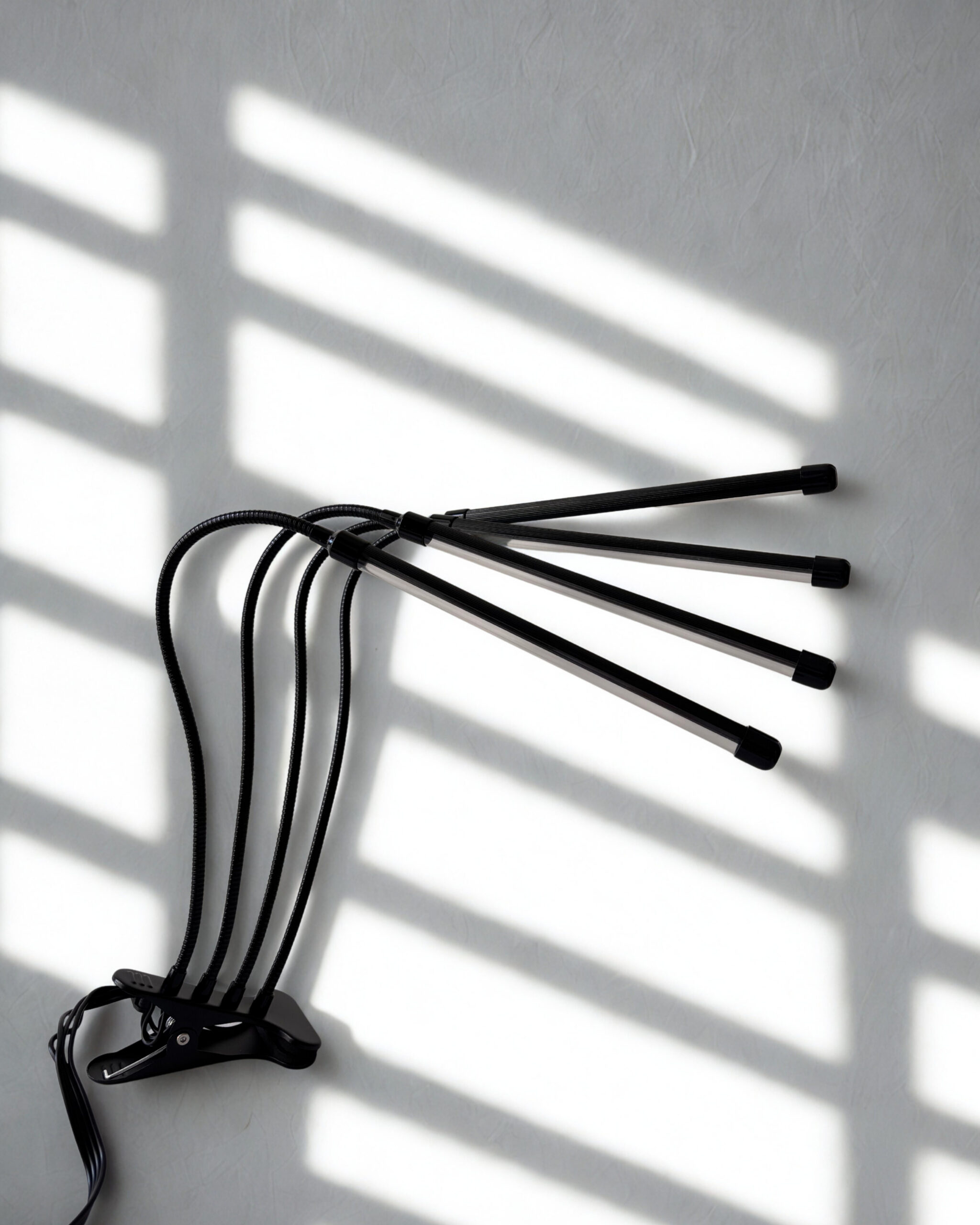 Auginimo lempa 4 galvų