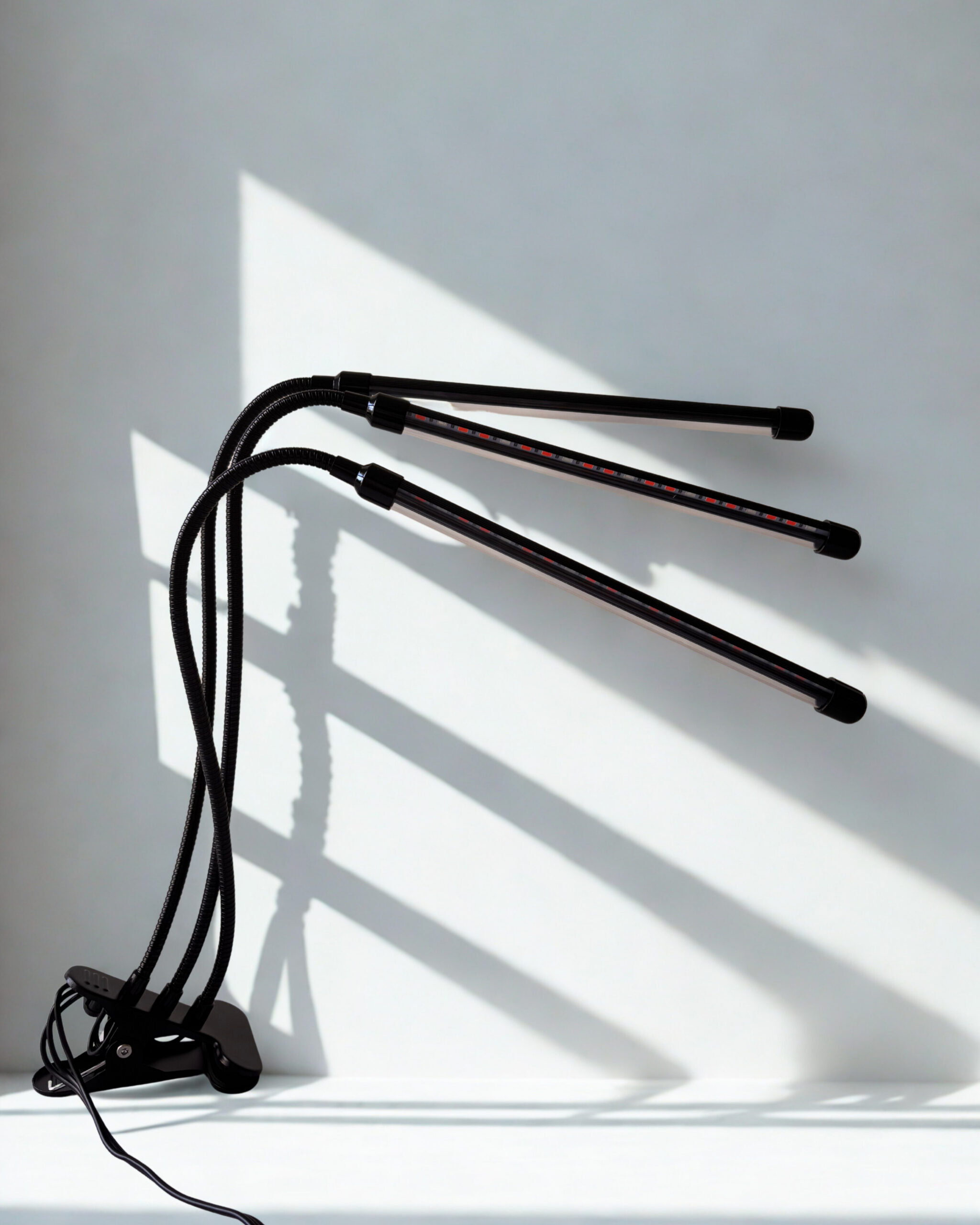 Auginimo lempa 3 galvų