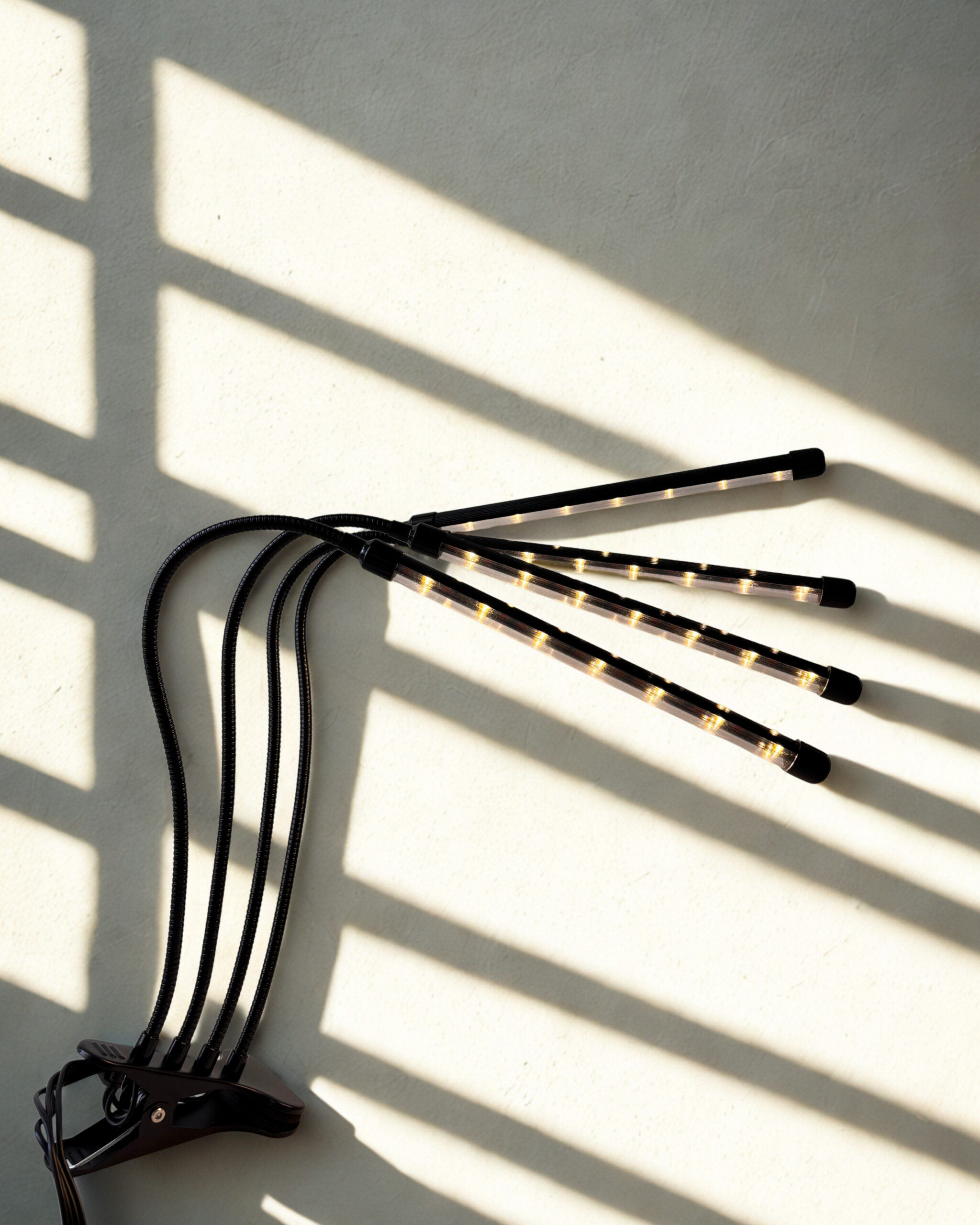 Auginimo lempa 4 galvų