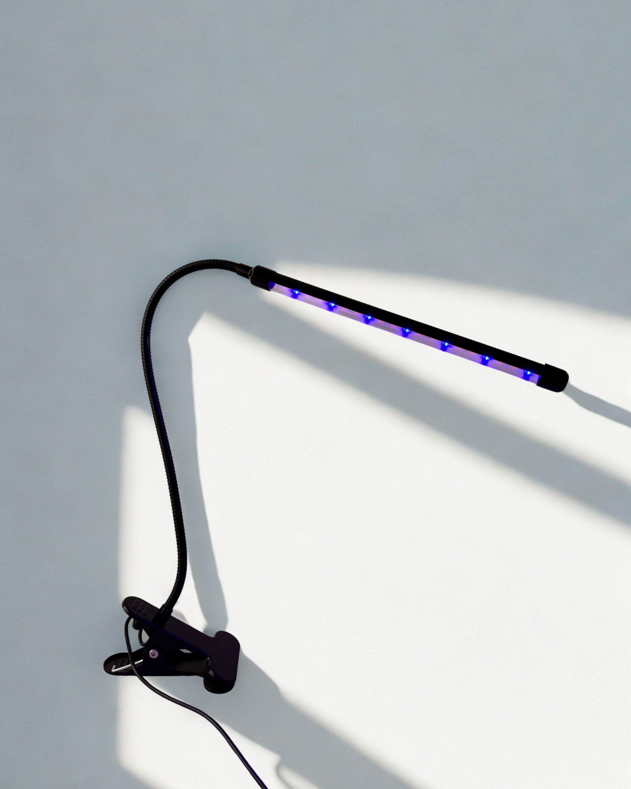 Auginimo lempa 1 galvos