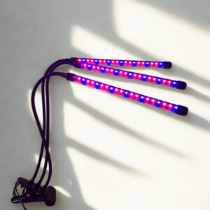 Auginimo lempa 3 galvų