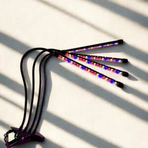 Auginimo lempa 4 galvų