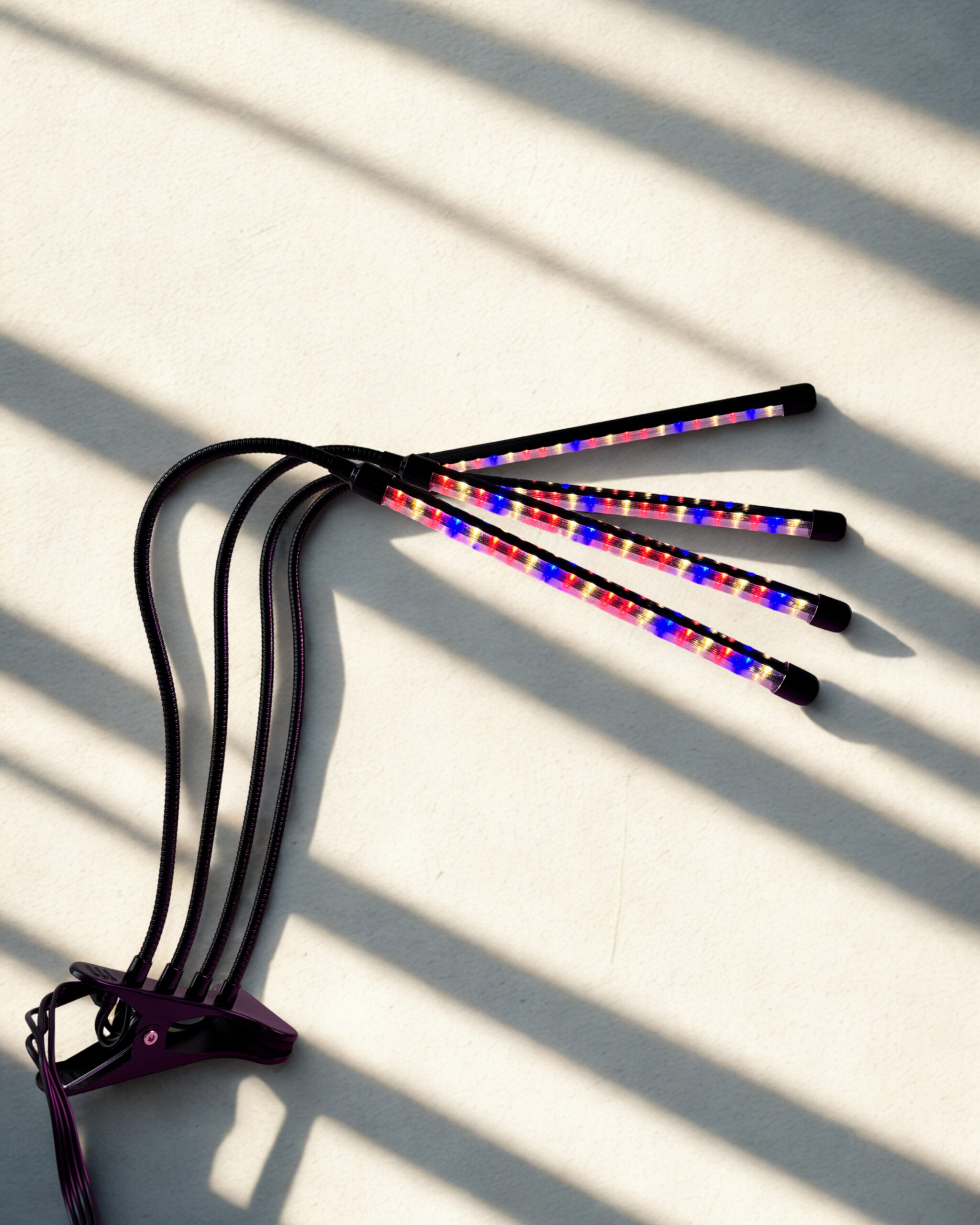 Auginimo lempa 4 galvų