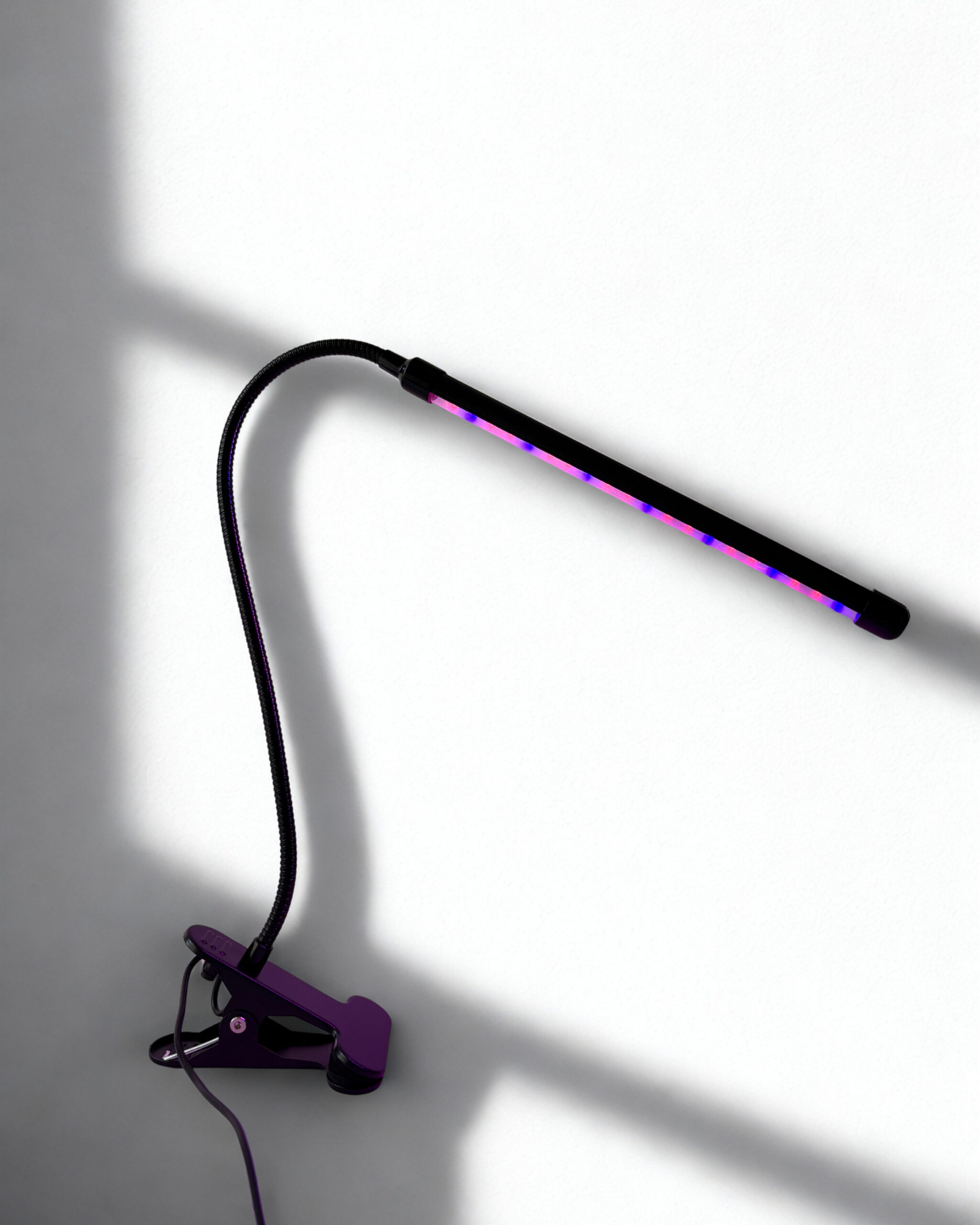 Auginimo lempa 1 galvos